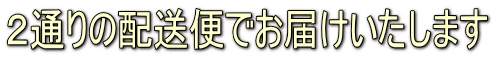 z@͂Qʂ